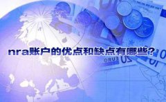 nra賬戶的優(yōu)點(diǎn)和缺點(diǎn)有哪些？