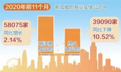 增長！增長！疫情背景下新加坡公司新注冊數量逆勢增長！
