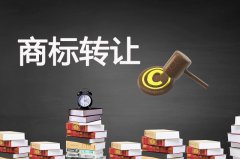 小米獲XIAOMI商標(biāo)轉(zhuǎn)讓 商標(biāo)轉(zhuǎn)讓中受讓方注意事項