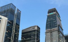 新西蘭公司注冊對(duì)股東資格要求全面解析