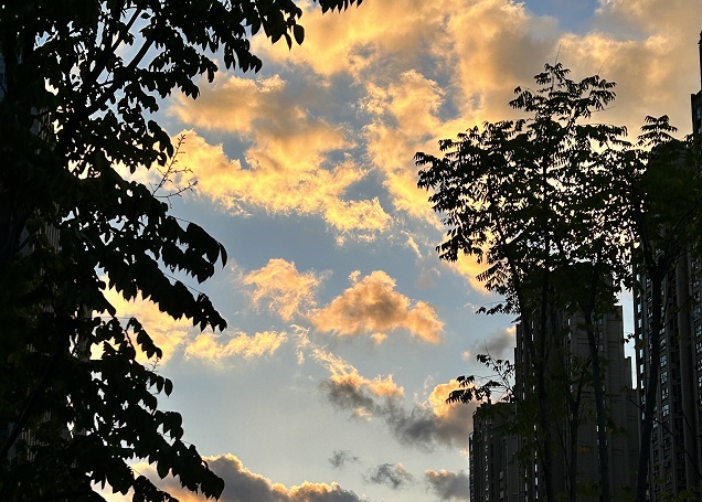 香港高才通續(xù)簽的申請時(shí)間有要求嗎