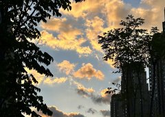 2025上半年，中國企業(yè)出海刷新全球副本：更猛、更強(qiáng)、更聰明