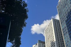 谷歌支付登陸沙特，支付寶于2026年接入，企業(yè)出海中東市場(chǎng)開(kāi)辟新的合作機(jī)遇